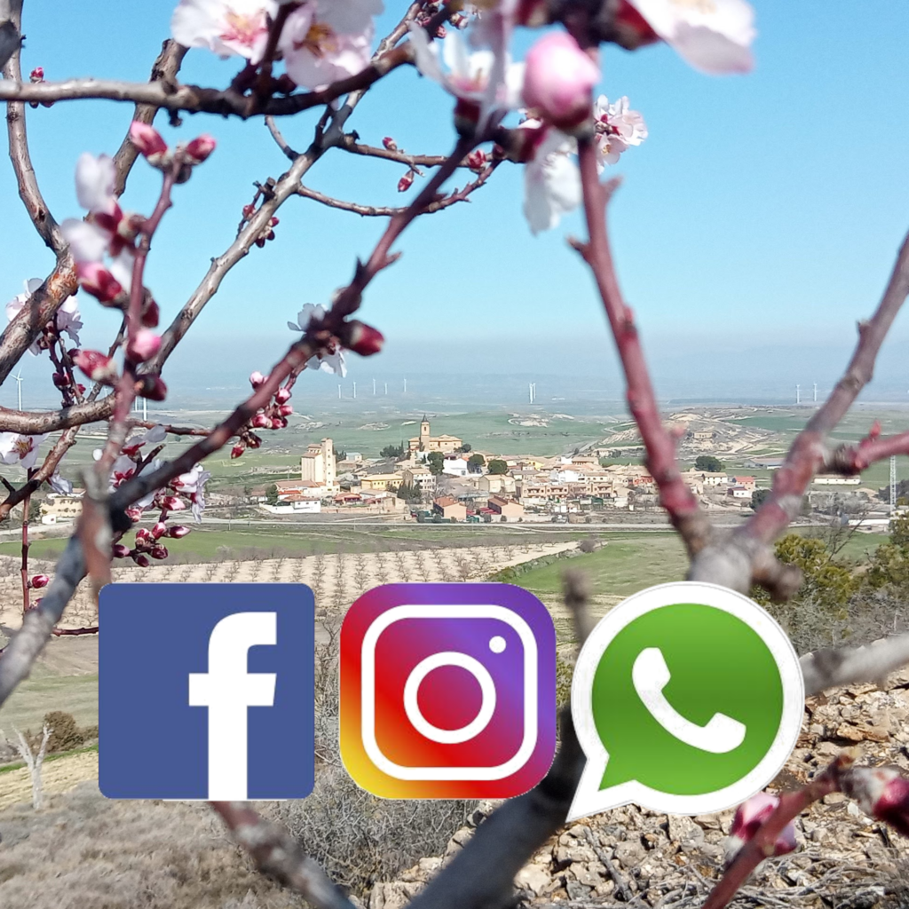 Redes sociales Almendras de Las Pedrosas