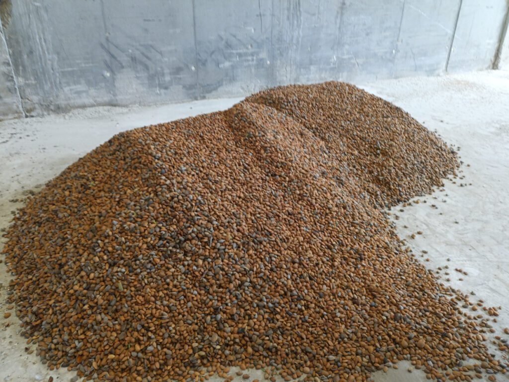 Almendras de Las Pedrosas