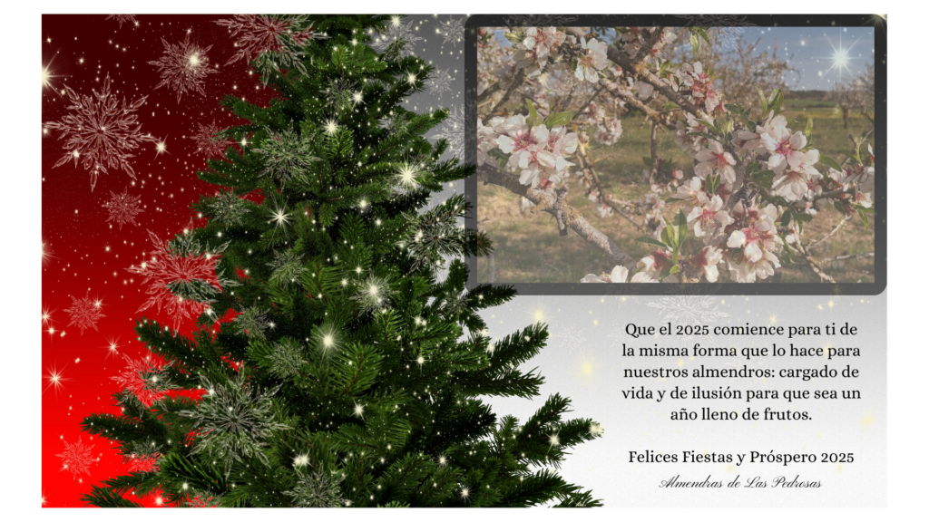 Felices Fiestas y Feliz 2025