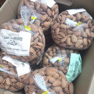 Caja de envío abierta con mallas de almendra en cáscara de Las Pedrosas
