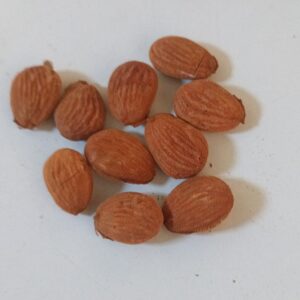 Pepitas de almendra de Las Pedrosas, segunda variedad